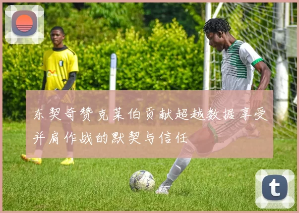 东契奇赞克莱伯贡献超越数据享受并肩作战的默契与信任