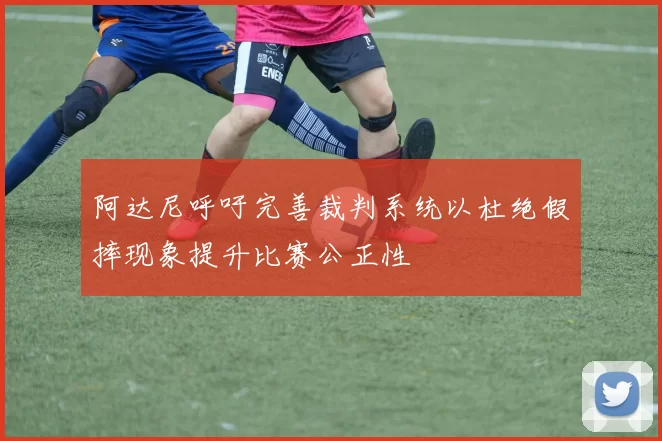阿达尼呼吁完善裁判系统以杜绝假摔现象提升比赛公正性
