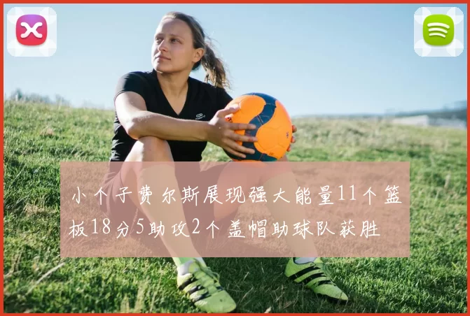 小个子费尔斯展现强大能量11个篮板18分5助攻2个盖帽助球队获胜